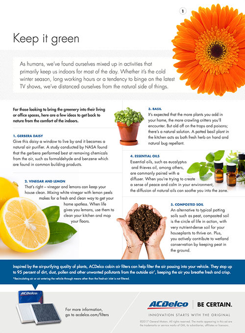 acdelco%20advertorial%203 500px